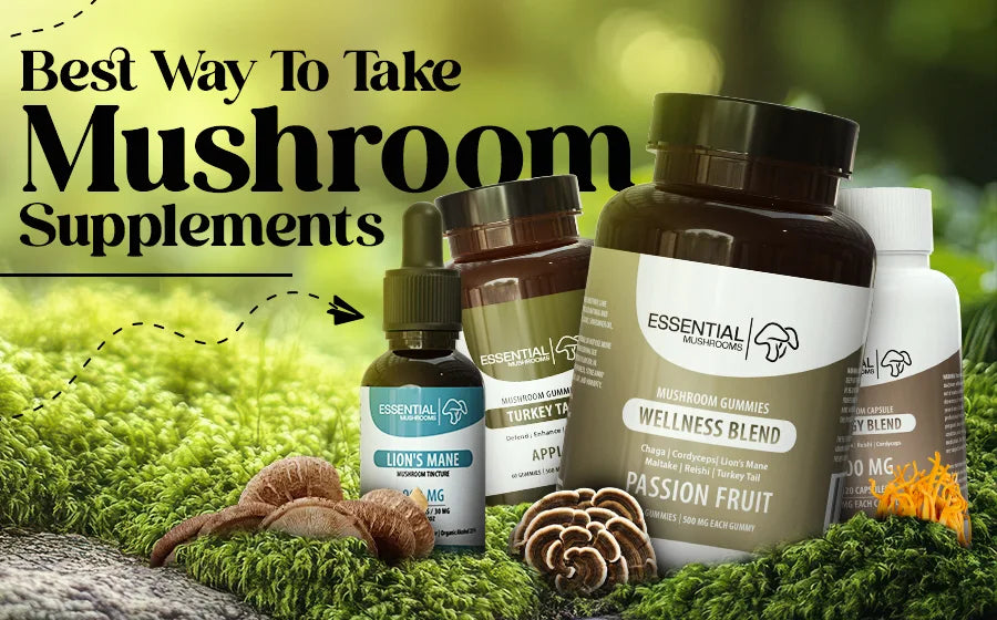 Best Way to Take Mushroom Supplements