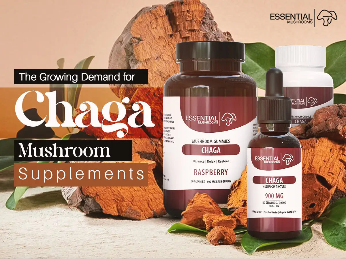 The Growing Demand for Chaga Mushroom Supplements