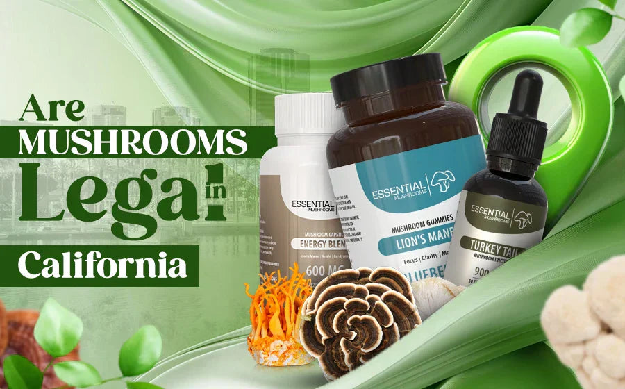 are mushrooms legal in california