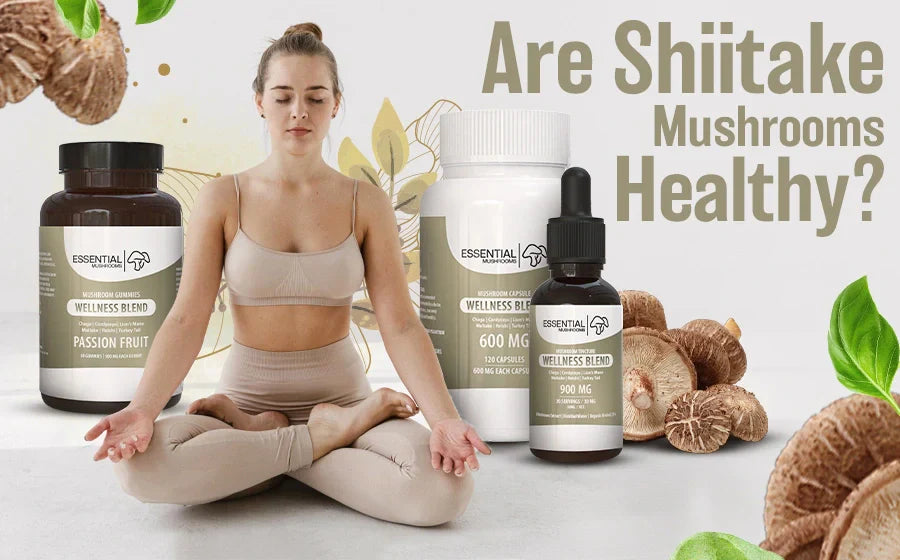 Are Shiitake Mushrooms Healthy? A Complete Guide