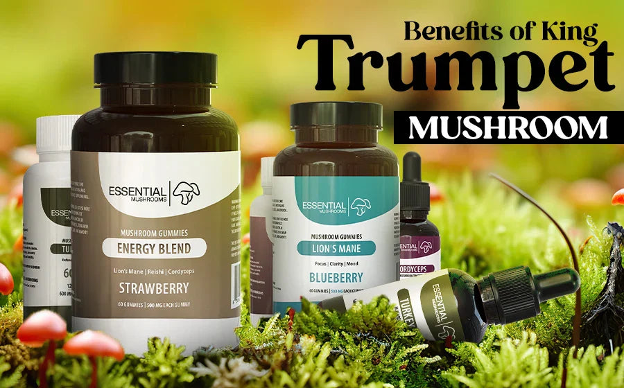 Benefits of King Trumpet Mushroom