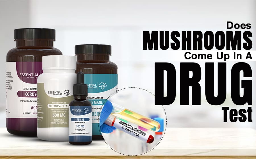 Does Mushrooms Come Up in a Drug Test?