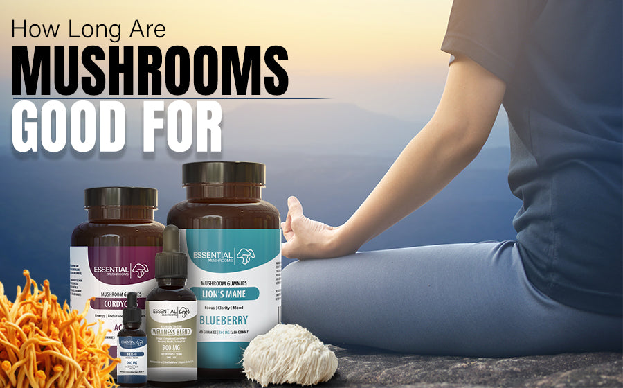 How Long are Mushrooms Good For? Simple Storage Guide