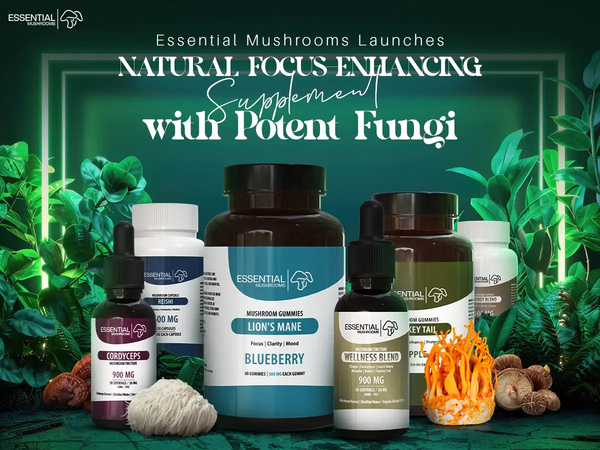 Natural Focus Supplements