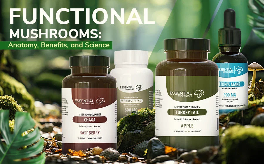 functional mushrooms benefits