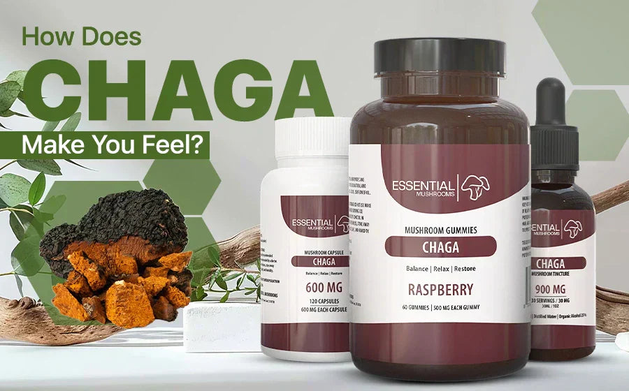 how does chaga make you feel