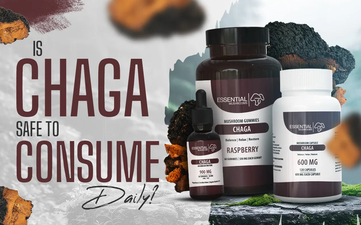 is Chaga safe to consume daily