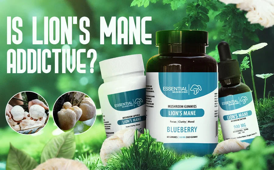 is lion's mane addictive