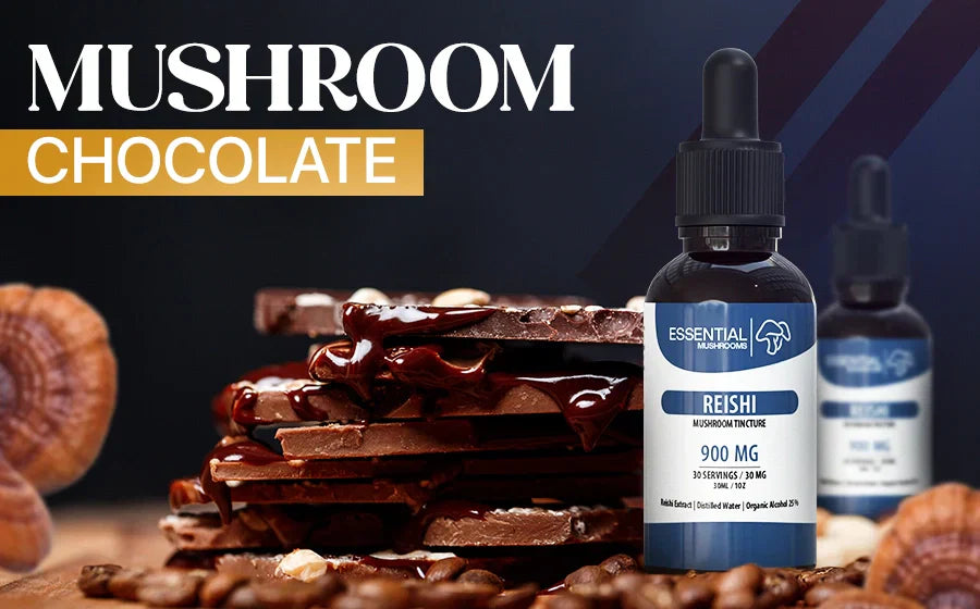 Mushroom Chocolate Bars Recipe