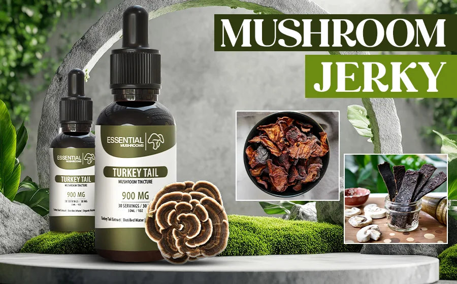 Mushroom Jerky Recipes
