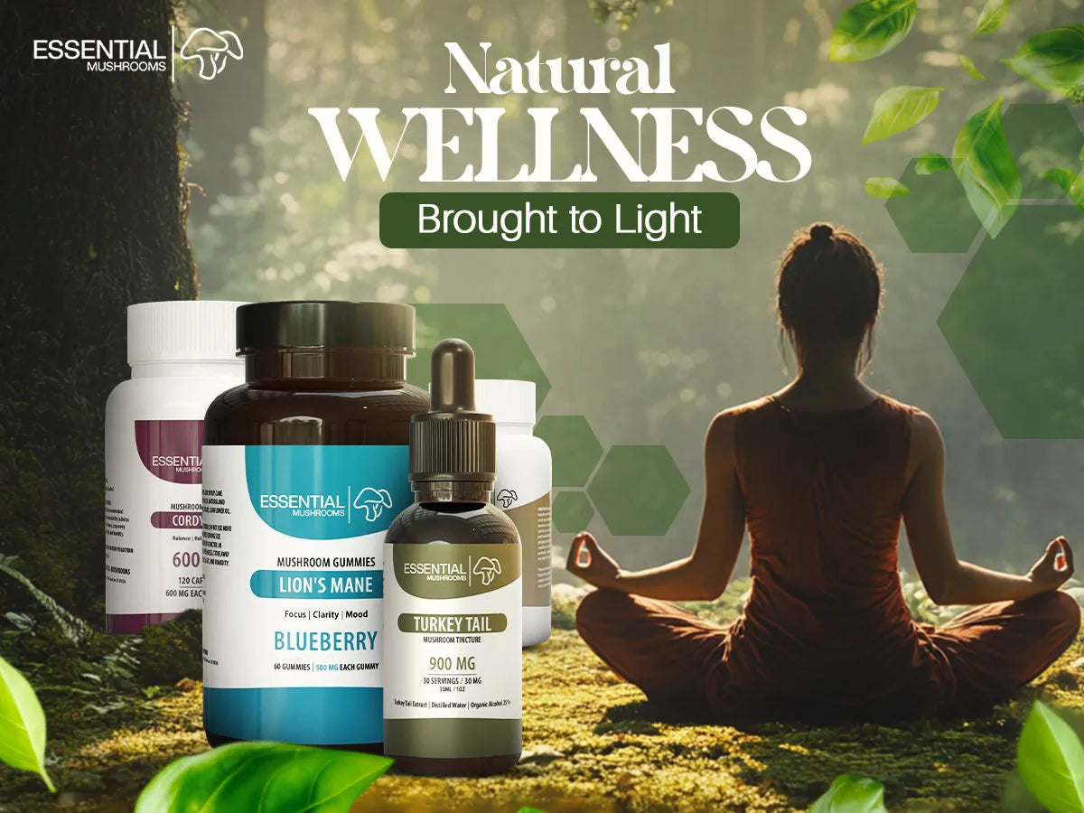 organic mushroom extract supplements