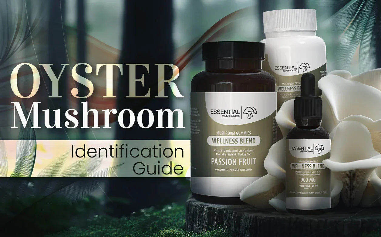 oyster mushroom identification