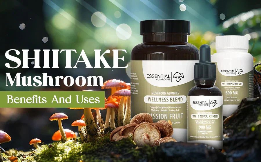 Shiitake Mushroom Benefits