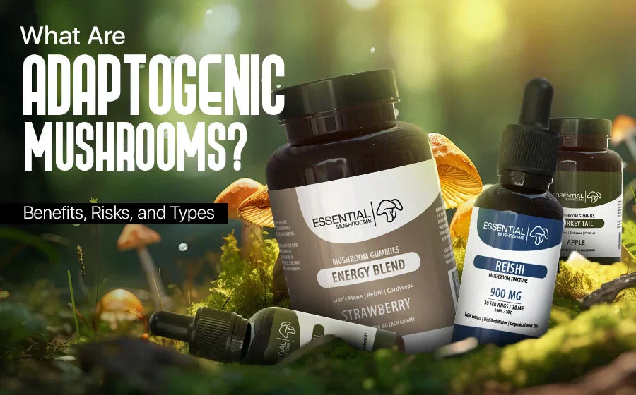 what are adaptogenic mushrooms
