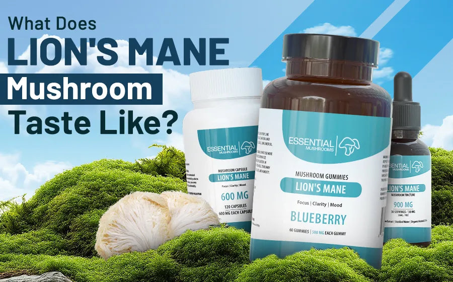 What Does Lion's Mane Mushroom Taste Like