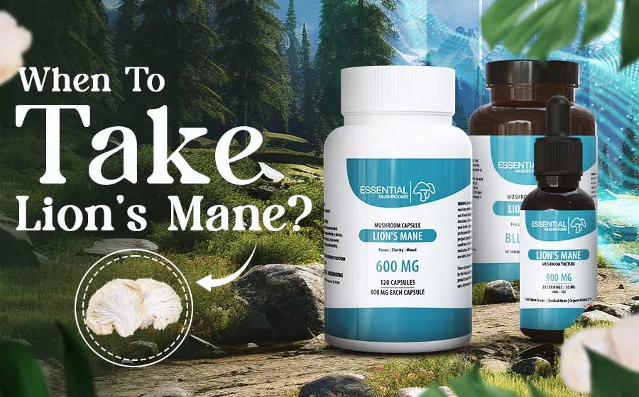 When to Take Lion's Mane for Maximum Benefits?