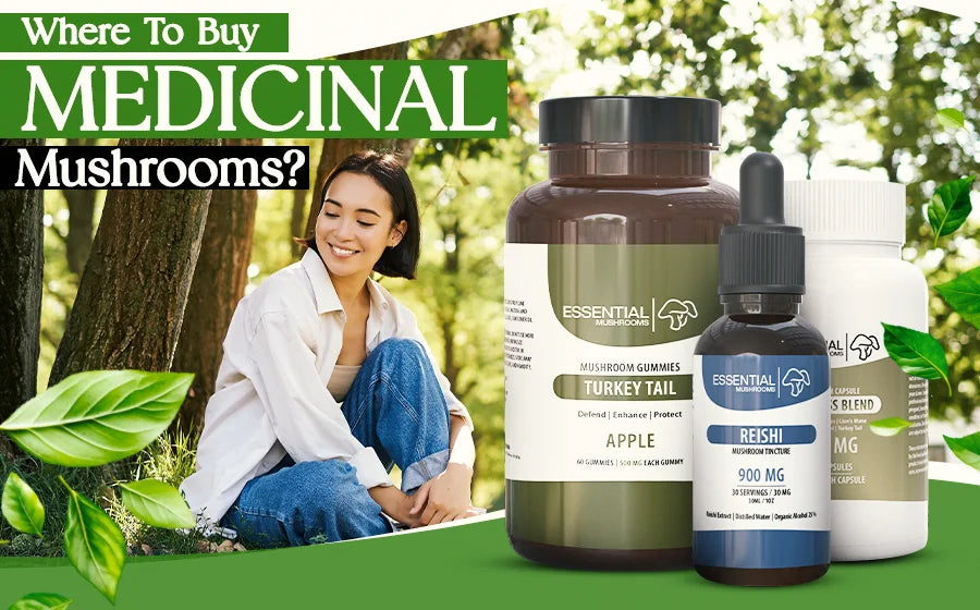 where to buy medicinal mushrooms