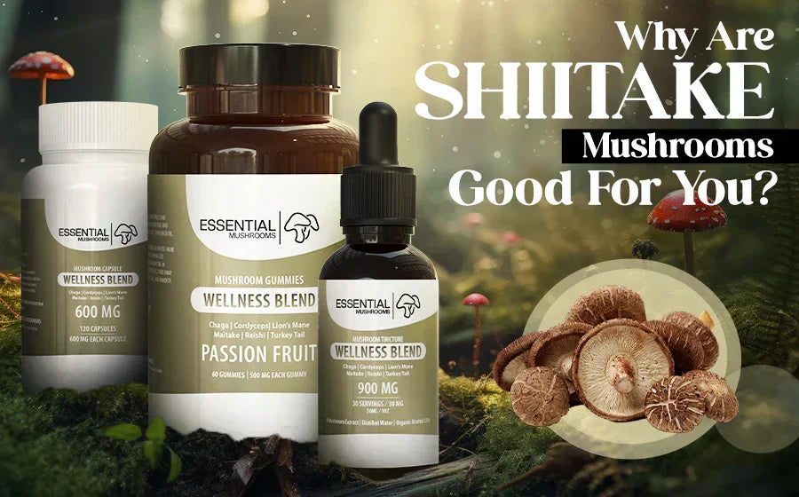 Why are shiitake mushrooms good for you
