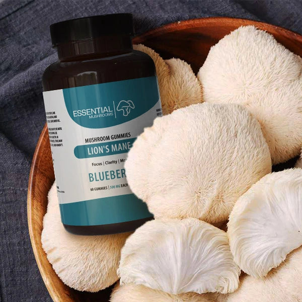 Buy Lion's Mane Mushroom Gummies
