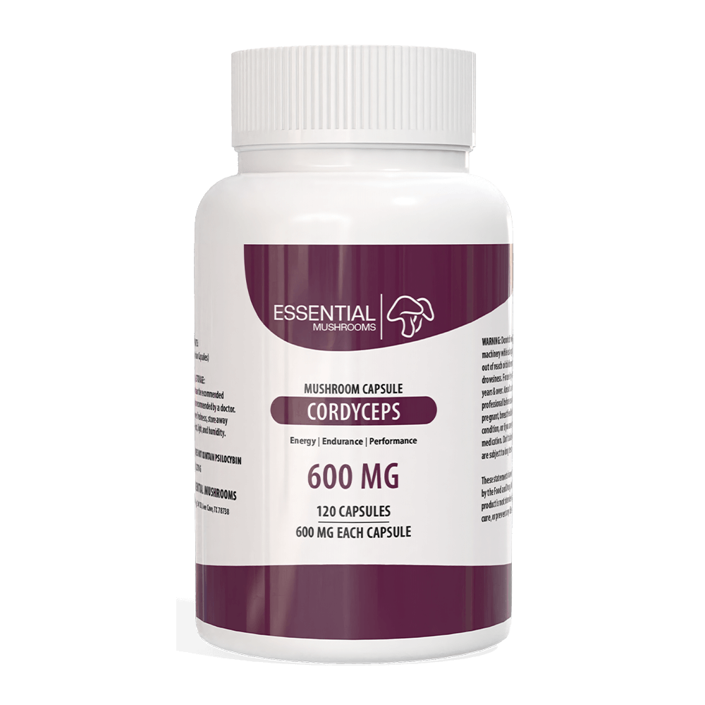 cordyceps capsules