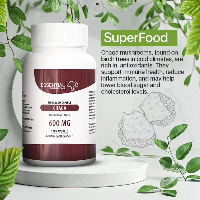 chaga extract capsules
