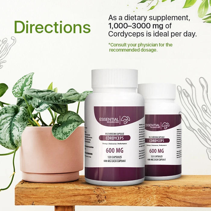 cordyceps capsules