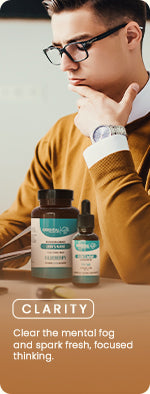 Promo Image