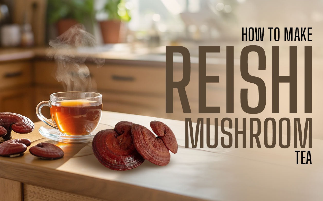 How to Make Reishi Mushroom Tea & What Are Its Benefits