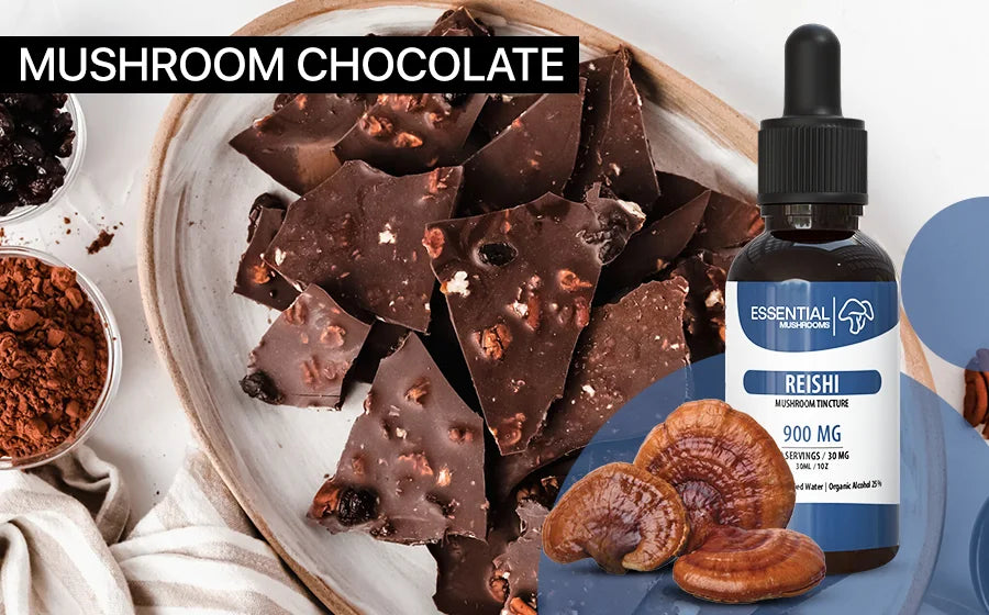 Mushroom Chocolate Recipe