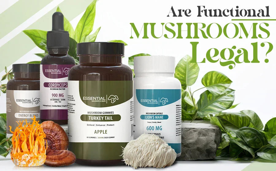 Are Functional Mushrooms Legal