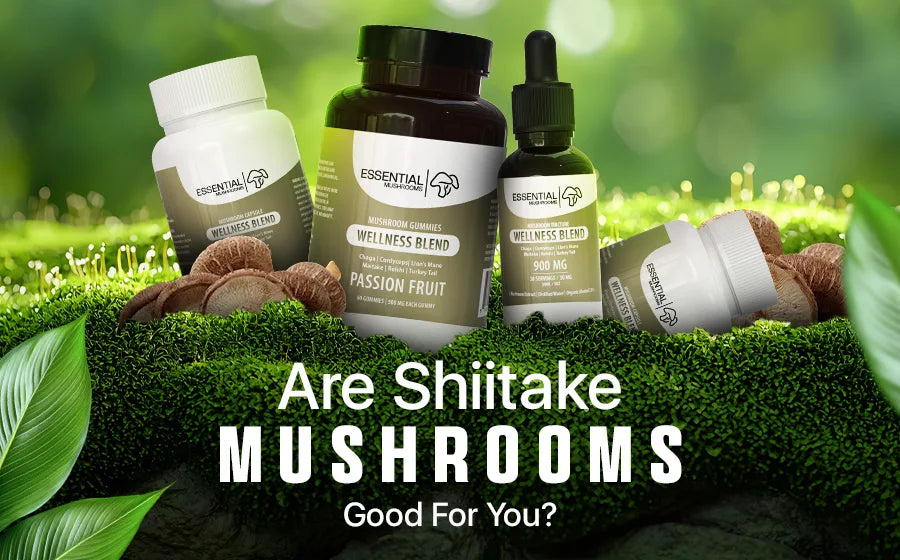 Are Shiitake Mushrooms Good for You?