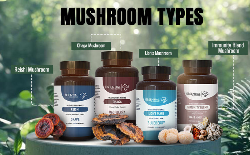 Mushroom Types: A Comprehensive Guide