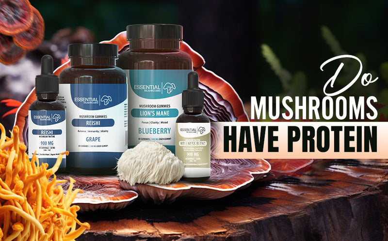 Do Mushrooms Have Protein: A Simple Guide to Their Nutritional Value