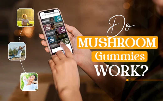 do mushroom gummies work