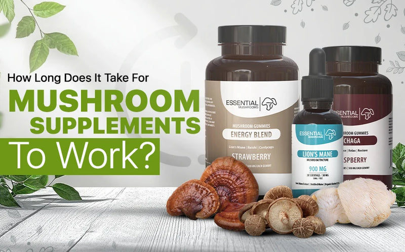 How Long Does it Take for Mushroom Supplements to Work?