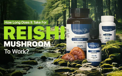 How Long Does It Take for Reishi Mushroom To Work?