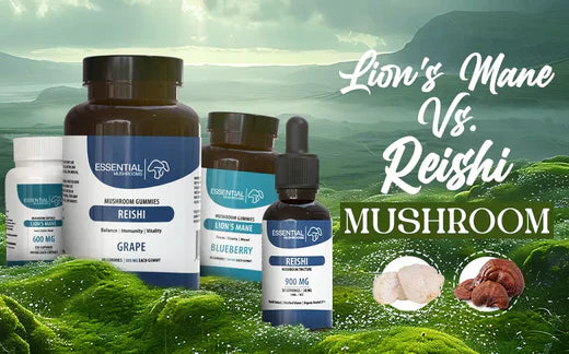 Lion’s Mane Vs. Reishi - Key Differences & Benefits