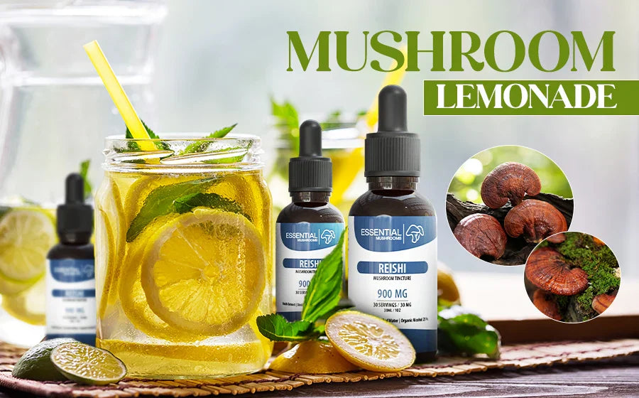 Mushroom Lemonade