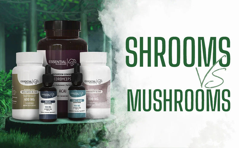 Shrooms vs. Mushrooms: What’s the Difference?
