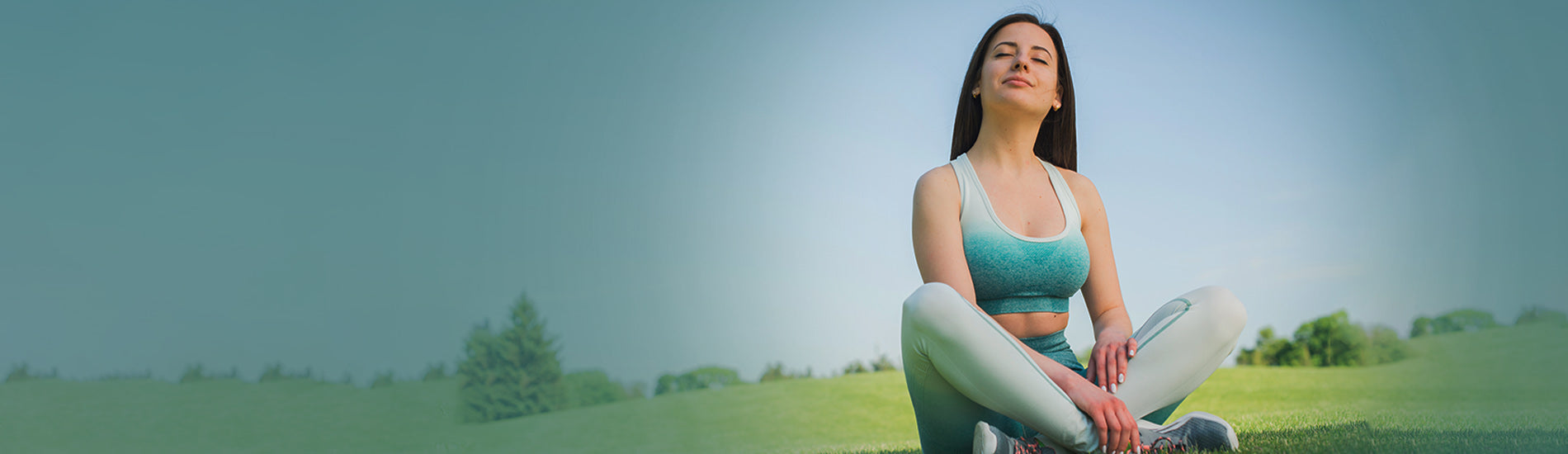 Mushroom for Wellness Desktop Banner