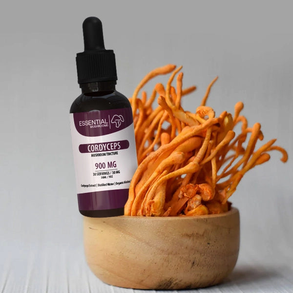 Cordyceps Tinctures