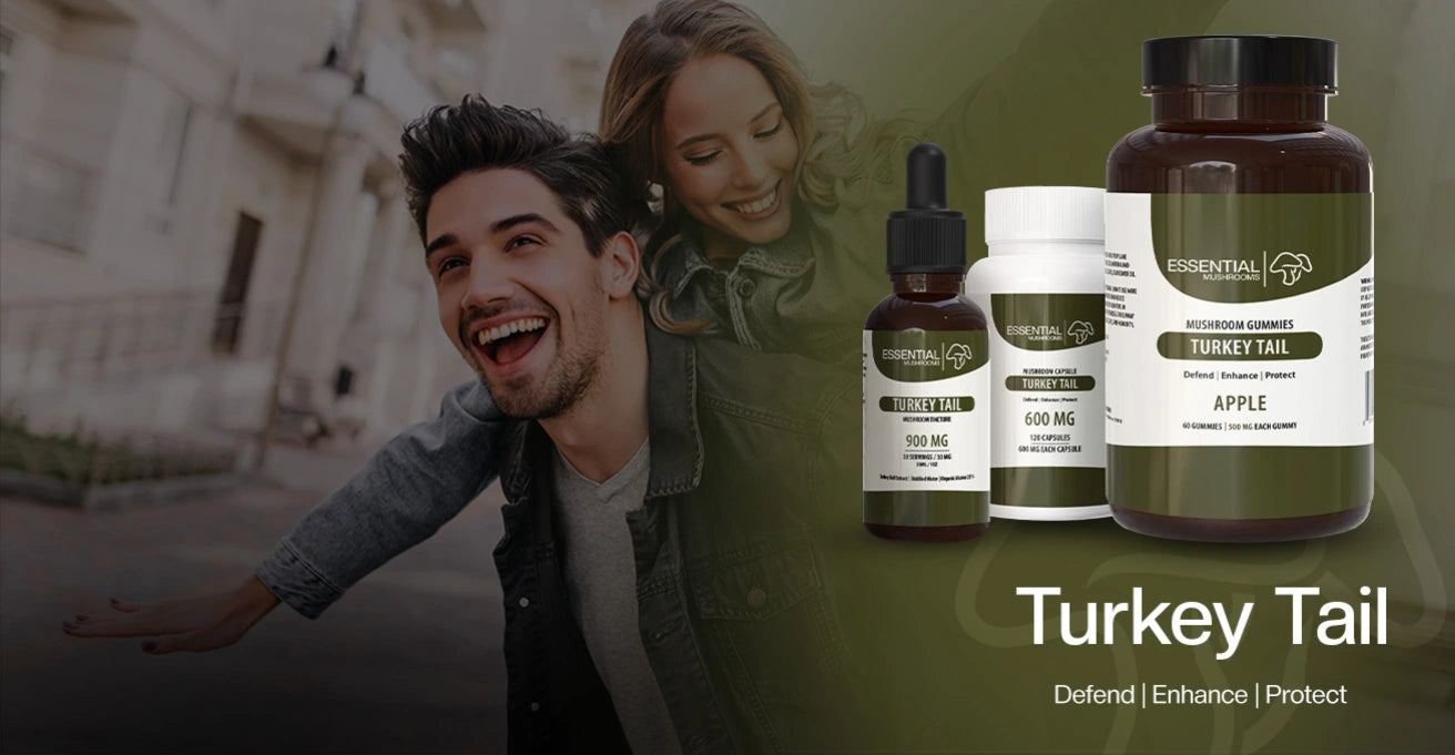 Find Your Turkey Tail Mushroom Extract Supplements Desktop