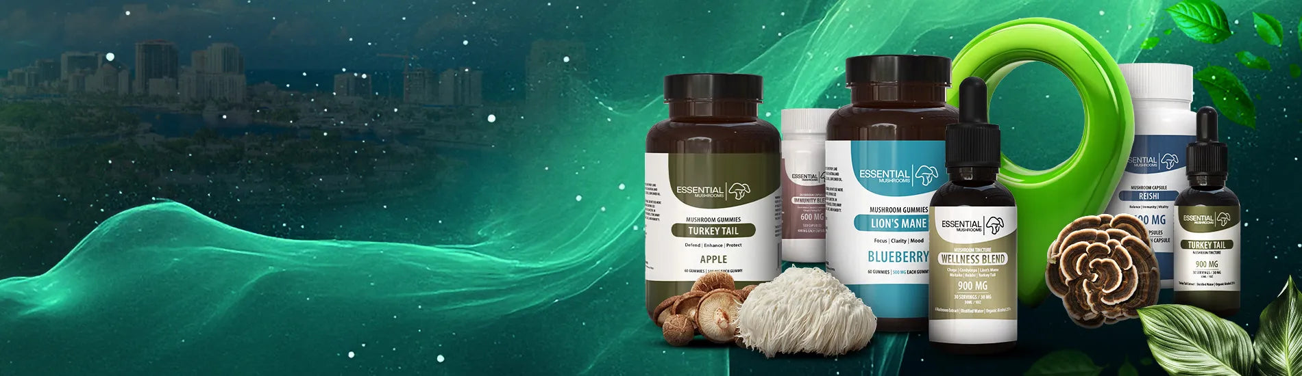 Florida Mushroom Dispensary