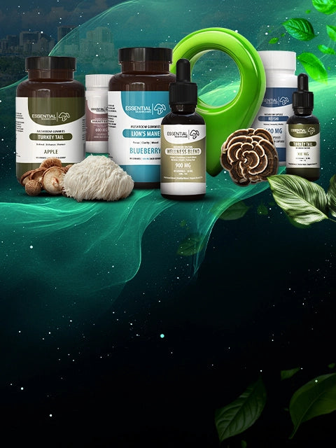 Florida Mushroom Dispensary