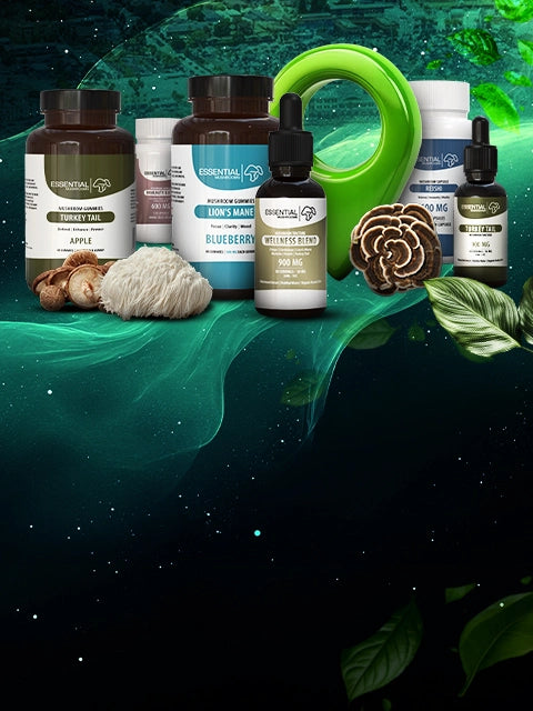 Santa Cruz Mushroom Dispensary