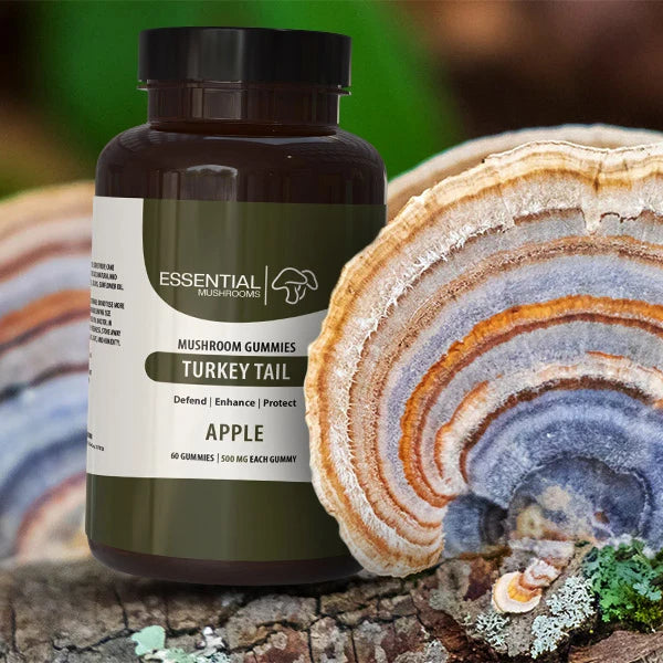 Turkey Tail Gummies