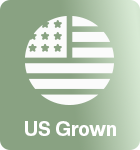 US GROWN