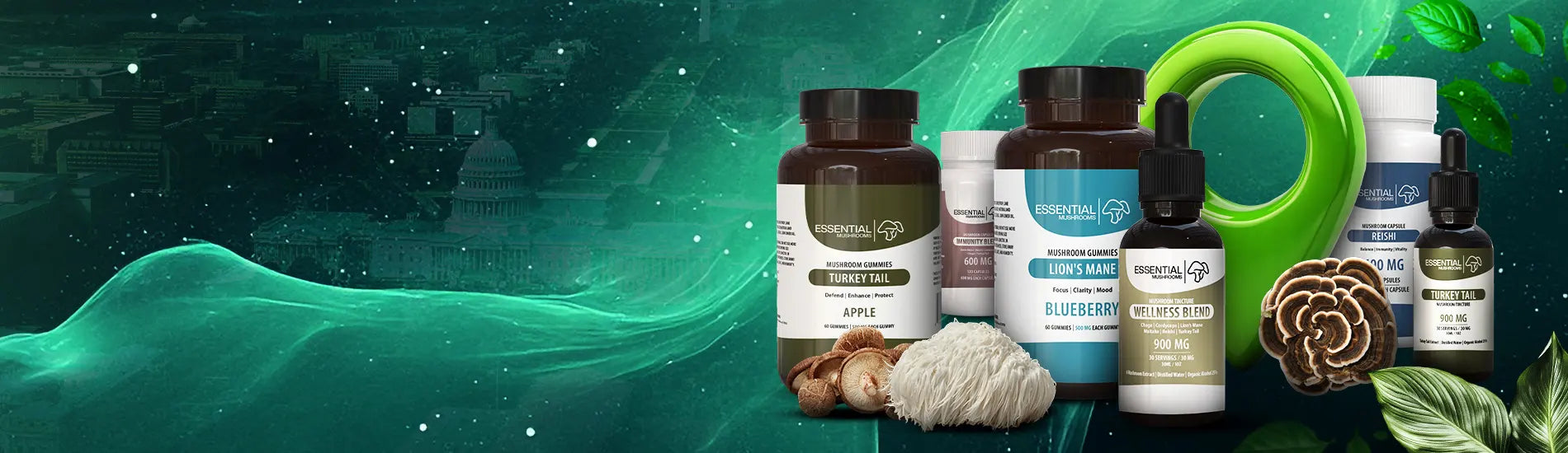 Washington DC Mushroom Dispensary