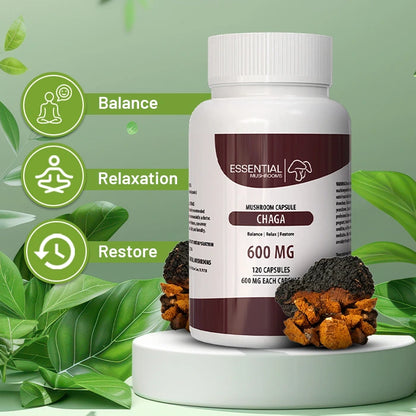 essential mushrooms chaga mushroom extract capsules benefits pic