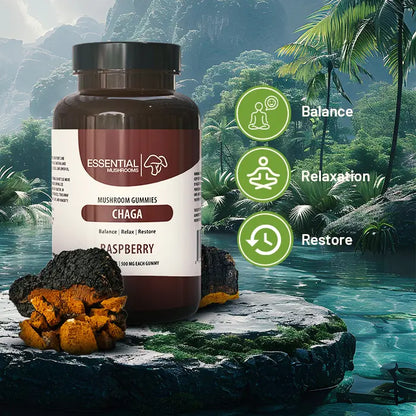 essential mushrooms chaga mushroom extract gummies benefits pic